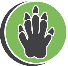 Buzz Gecko Extermination Service